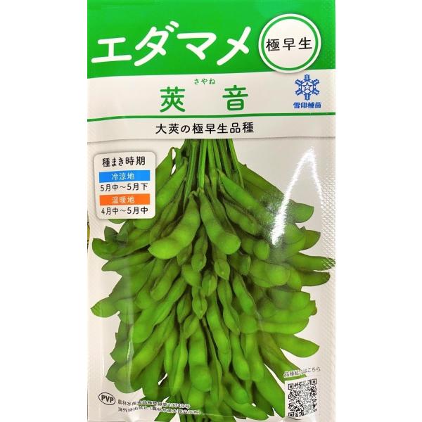 ・白毛・濃緑の大莢でボリュームがある極早生品種<br>・葉が小さめで、生育がおとなしいため、コンパクトにまとまる。