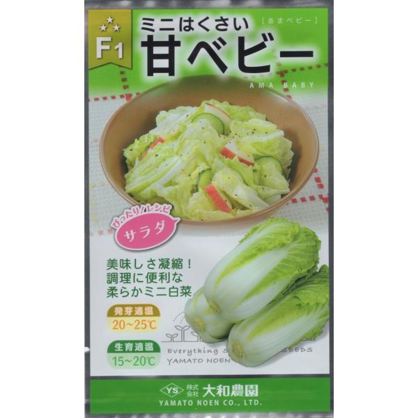 種まき後60日前後で収穫サイズ(約300〜500g)となるミニタイプ。外葉から芯まで柔らかく、甘味があって生でも美味しい。外葉がコンパクトなので株間20cmの超密植栽培も可能。肥料は慣行の半分程度とし、春まきの低温期の育苗は温床を使用する。