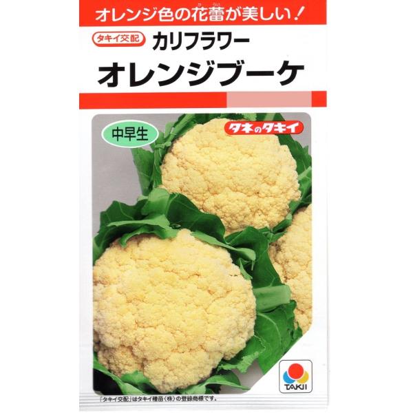 yqzJt[ IWu[P ^LCc̃^l