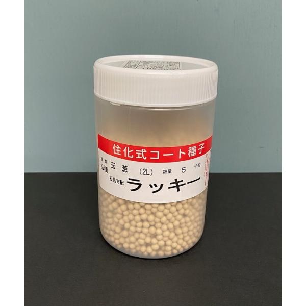 野菜種子 タマネギ ラッキー(コート種子) 5000粒入 渡辺採種場のタネ