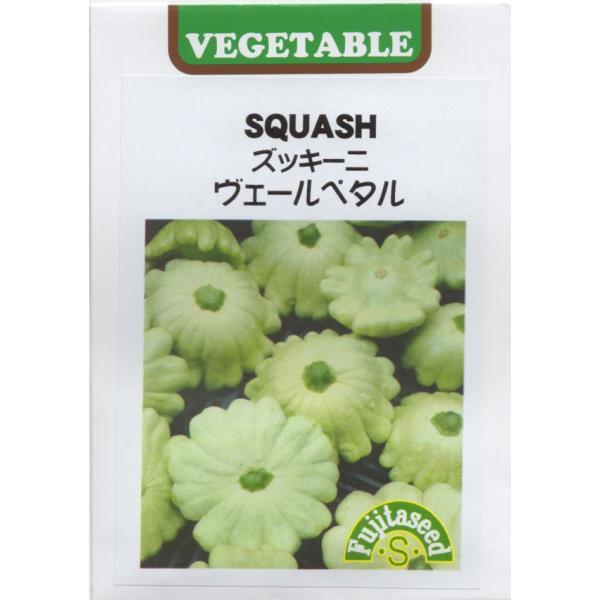 お花のような姿形が特徴の薄緑色のズッキーニ。実は大きくしないで、直径約7〜8cmで収穫すると皮もやわらかく味わえます。炒め物やてんぷら、スープなど様々な料理に利用できます。※ほぼ薄緑色ですが、まれに他の色ができることがあります。予めご了承ください