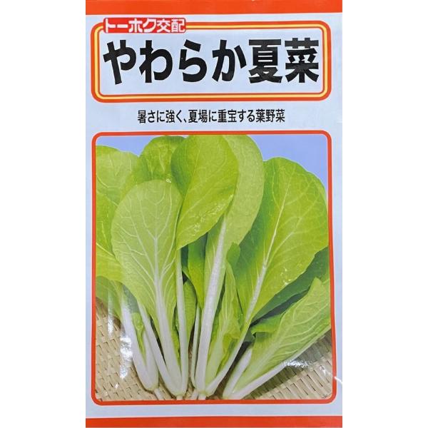 野菜種子 やわらか夏菜(サントウサイ) トーホクのタネ : Gardener s