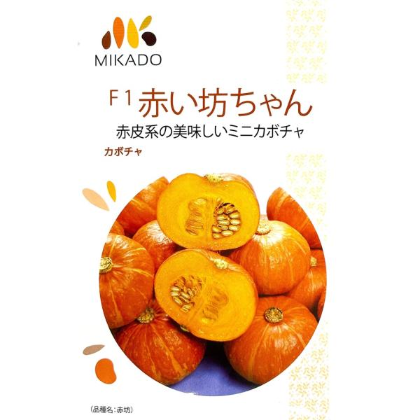 草勢はやや強く、ミニ系カボチャとしては大葉となる。雌花の発生がよく連続的に着果し、ウドンコ病の発生も遅く長期間に渡り収穫が可能である。果実は赤皮のミニカボチャで300g前後になり、果肉はオレンジ色の粘質系で甘味強く美味しい。ウイルス病に罹病...