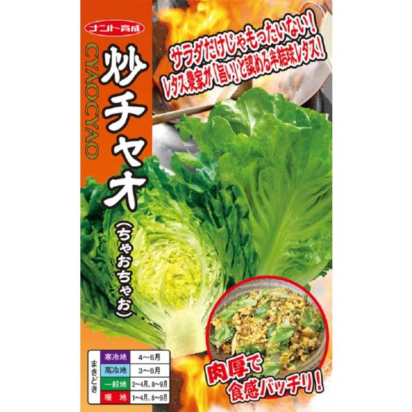 yqz񌋋^X u`I(ႨႨ) igc̃^l