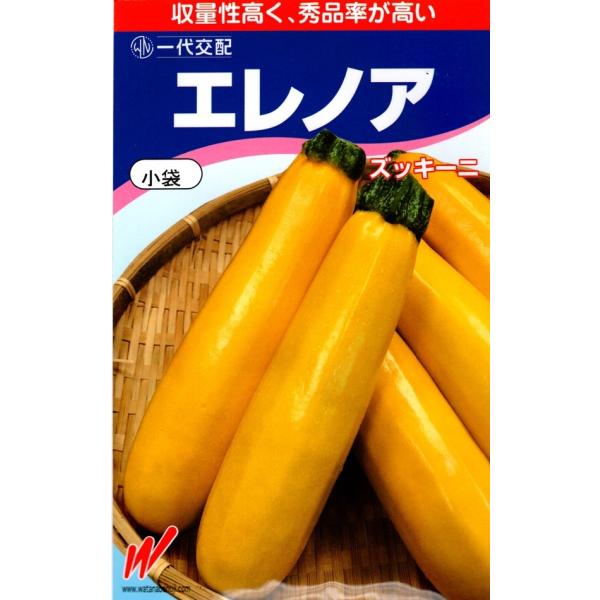 各種ウイルス病(WMV、ZYMV、CMV)、うどんこ病に強い。果実は光沢に優れた濃黄色で、果長は20cm前後で円筒形に揃う。曲がり果が少なく秀品率が高い。初期生育が良好で収穫期間が長い。