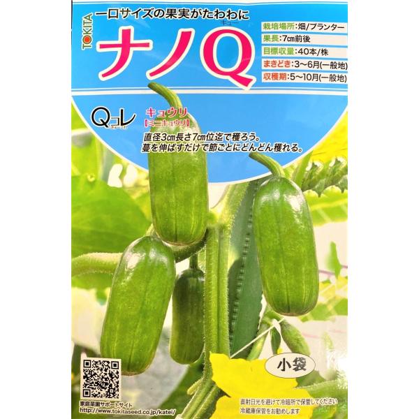 ミニ キュウリ 苗の人気商品 通販 価格比較 価格 Com