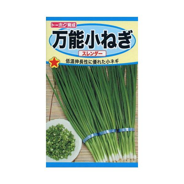 ؎q \˂ X_[ g[zÑ^l