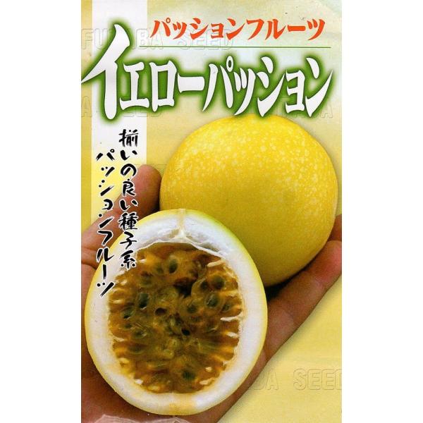 パッションフルーツが種子で登場しました。passiflora edulis （パッシフロラ・エドゥリス） 別名 クダモノトケイソウとも呼ばれます。珍しい黄色い皮で甘酸っぱいおいしさです。果径6〜8cm、果重100〜140gの実が成ります。