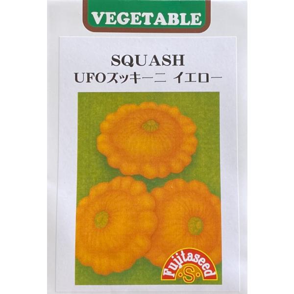 UFOのような不思議な形をしたズッキーニです。実は大きくしないで、直径約10cmで収穫します。大きく育ったものは飾りとして利用するのも良いでしょう。一般のズッキーニと同じように、薄く輪切りにしてサラダ、炒め物やてんぷら、スープなどに利用します。