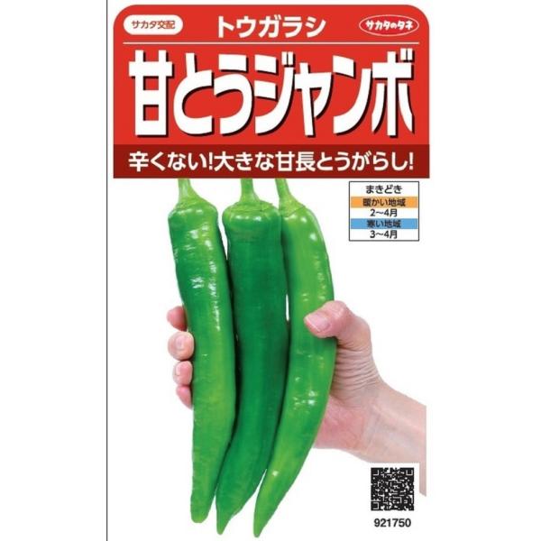手のひらサイズの大きな「辛くない」甘とうがらし。タネが少なく調理もしやすい。肉厚でほんのり甘い、煮ても焼いてもおいしい甘とうがらしです。品種名：満作