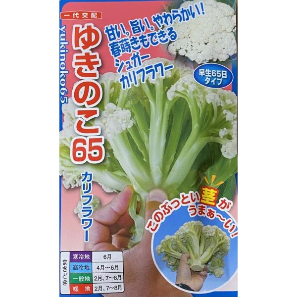 春作が出来るように改良された「ゆきのこ」。平坦地の2月播種、7月中旬〜8月播種で定植後、65日前後で収穫できる早生カリフラワー。花蕾の茎が通常品種よりも甘くて、柔らかくて美味しい「シュガー」タイプ。平均糖度5度前後。通常のカリフラワーサイズ...