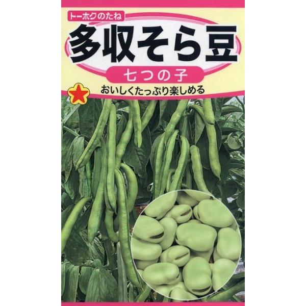 ؎q 瓤 ̎q g[zÑ^l