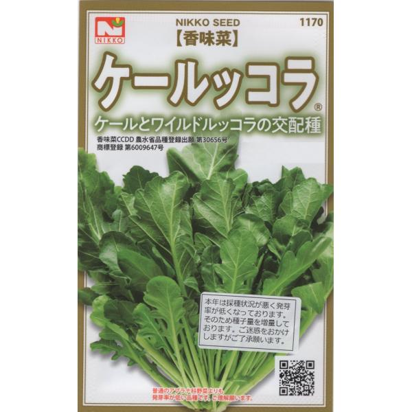 期限切れ（2026年5月）間近のため売り尽くしセール！ケールとワイルドルッコラの交配種で、和、洋、中とすべての料理に適した野菜。ピリ辛を感じつつ、ルッコラ特有の風味も感じることができます。※種の皮が割れている場合がありますが、この品種本来の...