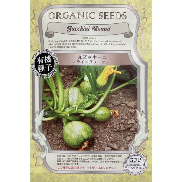 フランスのニースで生まれた丸ズッキーニ。テニスボール大での早めの収穫がおすすめです。固定種です　(F1種ではありません)