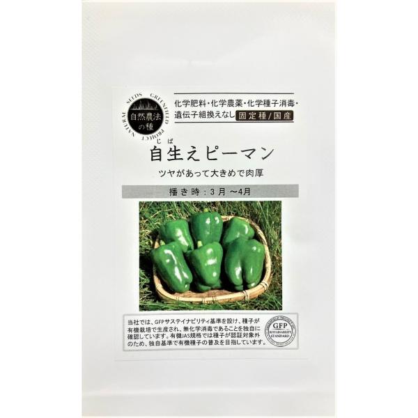 自然生えから選抜育成したベル型でツヤのある大きめで肉厚な果実。草勢が強く収穫始めはやや遅いものの、スタミナがあり長期露地栽培に適します。この種子は固定種です。(F1種ではありません)