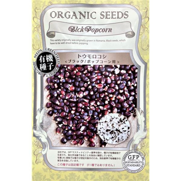 ルーマニア原産のポップコーン用の爆裂種。真っ黒なトウモロコシです。この種子は固定種です。（F1種ではありません）