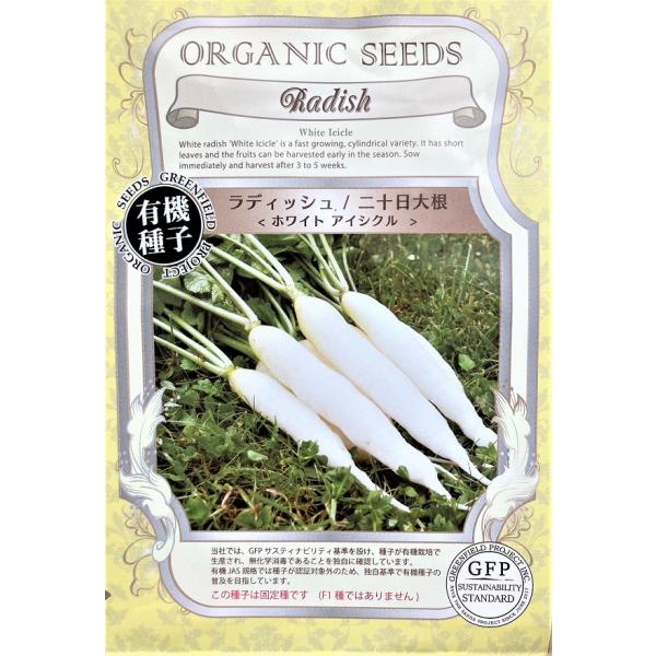 期限切れ（2026年5月）間近セール！長めの二十日大根で、長さ10〜12cmになります。オフホワイトがきれいな二十日大根です。この種子は固定種です（F1種ではありません）