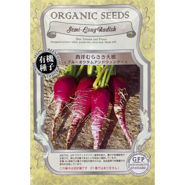 期限切れ(2026年5月)間近セール！鮮やかな紫色の表皮に純白の果肉で、ずんぐりとした単根が特徴です。この種子は固定種です（F1種ではありません）