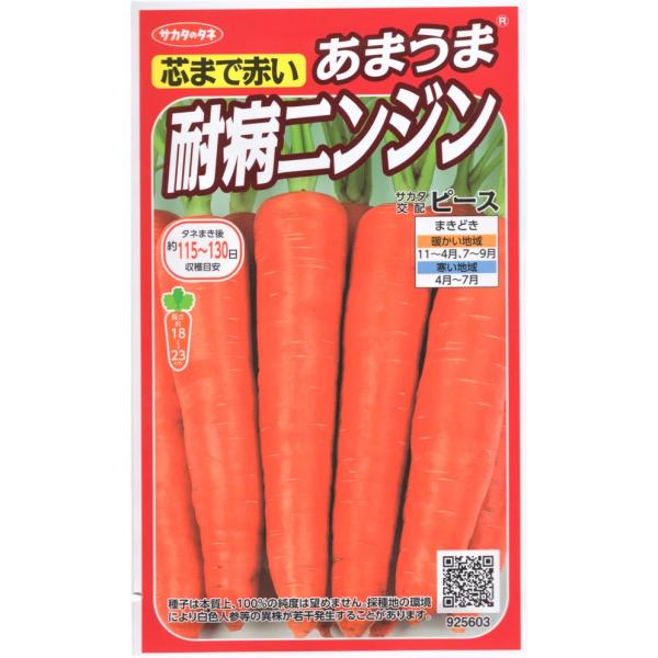 根色・肉色ともに濃鮮紅色で、芯まで赤く、ニンジン特有のくさみが少なく食べやすいです。甘みの強いフルーティーなニンジンで、サラダはもちろん、加熱すると味に深みが出ます。