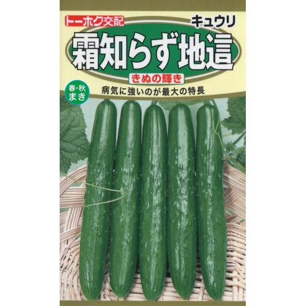 yqzLE m炸n ʂ̋P g[zÑ^l