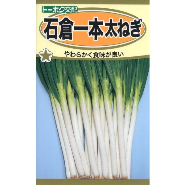 やわらかく美味しい一本太ねぎの定番種。白身が長くち密な肉質で食味が良い。太りが良く、夏の暑さや冬の寒さに強く旺盛に育ち、葉折れも少なく、収量も期待できます。