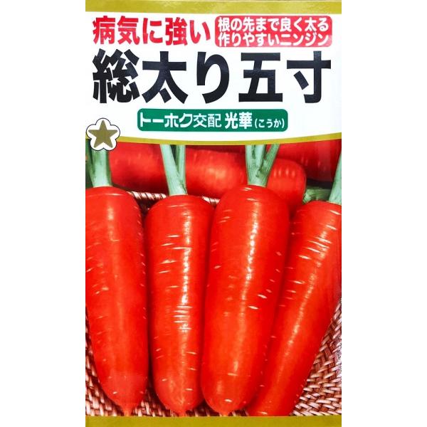 病気に強く裂根も少ないので作りやすく、根の先端までよく太りきれいな円筒形に揃います。芯まで鮮やかな紅色で甘みがあって食べやすく、加熱調理だけでなくサラダでも好評です。