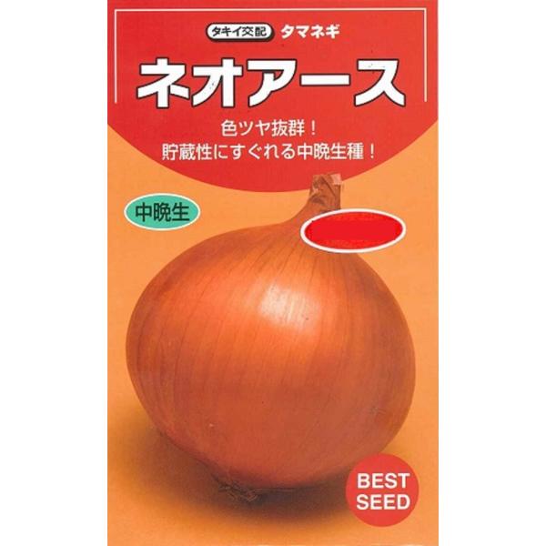 【種子】 タマネギ ネオアース 20ml 日本タネセンターのタネ