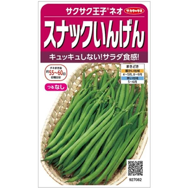 まっすぐで曲がりの無い姿のよさと、その名の通りサクサクッとした食感が特長です。歯切れのよさを生かすには、茹で時間は2分前後。サッとゆでてサラダ食感を楽しめます。