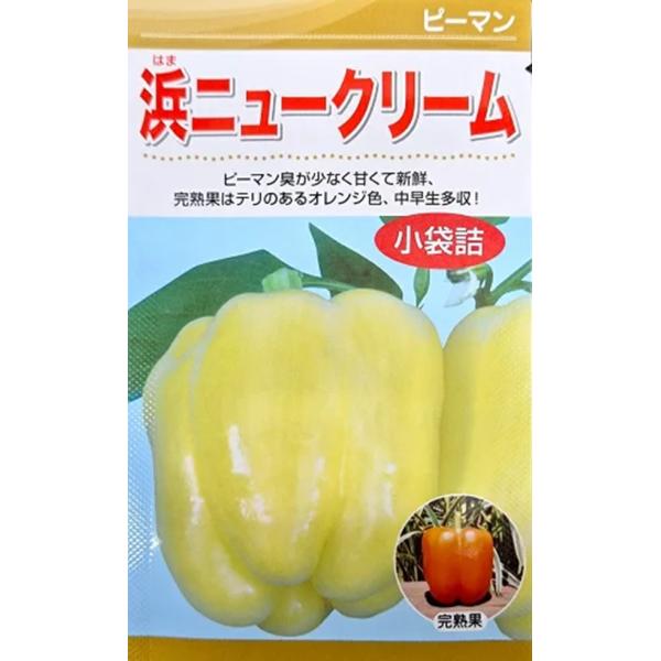 ●国内では珍しい、クリーム色のピーマンです。中早生種で、果は、最初からクリーム色に着色し、完熟果はオレンジに変化します。●果形は、獅子型で、一部尖り果が見られますが、小果（50g前後）から大果（100g以上）まで、いつでも収穫できます。●果...