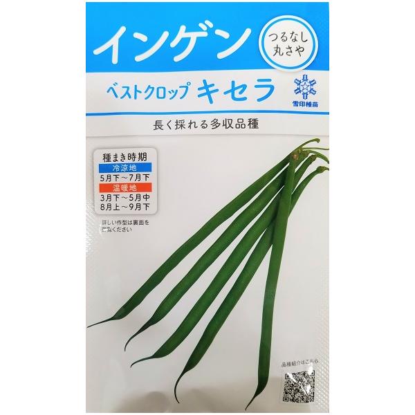●播種後62〜64日前後で収穫できる中生品種。●草勢がやや強く、長く収穫できる。