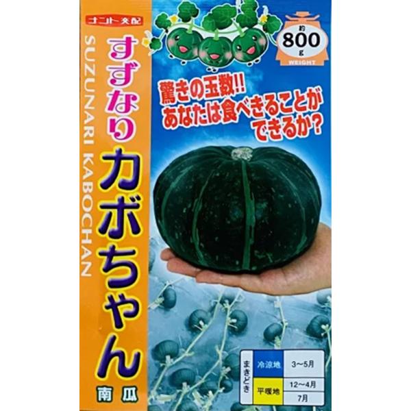 着果が極めて多く収量性抜群のミディサイズです。生育初期の節間がつまるので省スペースでの栽培が可能。ねっとりした肉質と甘さで、万人向きの食味です！