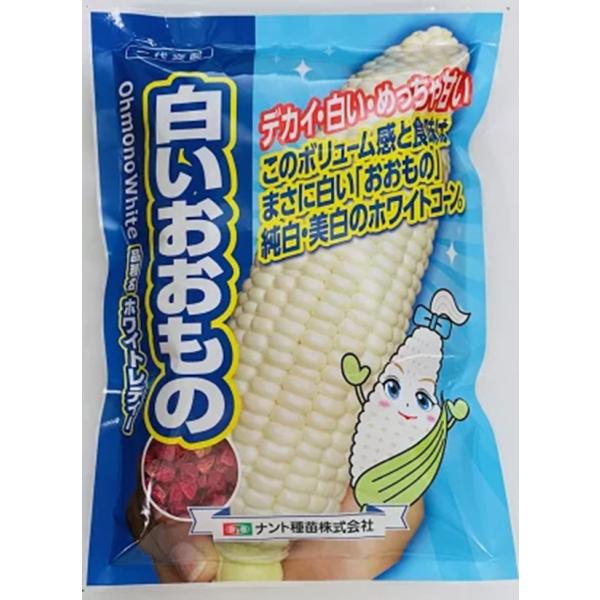 84〜85日タイプの中早生種。粒皮は美しい純白で柔らかく、先端まで実が詰まりやすい。穂形は円筒形でボリュームがあり、皮付穂重430g前後とまさに「おおもの」。まろやかで上品な風味と極めて強い甘さが自慢。草丈は180cm前後で茎は太軸！倒伏に強い！