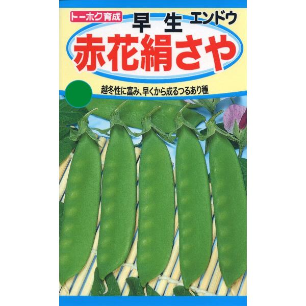 寒さに対して極めて強く、越冬性の高い品種で、冬の寒さの厳しい地域に適します。春先の生育は旺盛で、8cm位のやわらかくおいしい莢で、秀品率も高い絹さやです。品種名：絹みどり