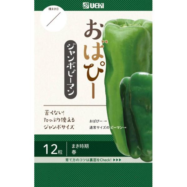 1個あたり100g以上、インパクト抜群のジャンボピーマン。花がついてから1ヶ月程で収穫できる。肉厚で苦みが少ない。畑でもプランターでも楽々栽培。