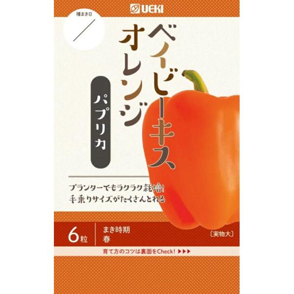 1個当たり70〜80gぐらい、お手頃サイズのミディパプリカ。50日くらいで色づき、着果が良くたくさん収穫できる。畑でもプランターでも楽々栽培。