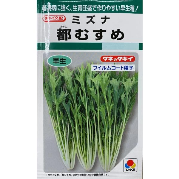 生育は旺盛で株張りよく、高温期や低温期でも作りやすい。立ち枯れ症状を発生する萎凋病に耐病性をもつ。春秋どりを中心に露地でも栽培可能だが、厳寒期はトンネルなど保温が必要。
