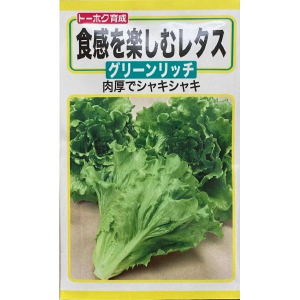 食感にこだわったリーフレタス。シャキシャキの肉厚葉は苦みもなく、サラダの他に炒め物やスープなど温野菜や、さらに浅漬けも好評。生育旺盛で病気にも強く作りやすい。