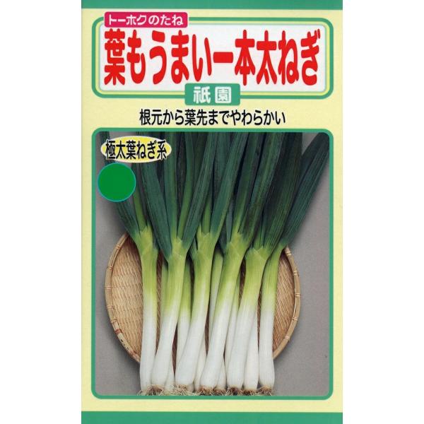 白い部分は根深ねぎのように太くみずみずしく、緑の部分は葉ねぎのようにやわらかく、風味があって美味しく食べられます。分げつも少なく、小ねぎから根深ねぎまで長く楽しめます。品種名：清系太-3210