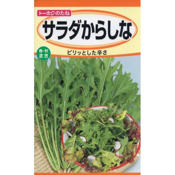 小苗から大株になるまで、茎葉を利用するカラシナです。葉にはきざみが深く入り、春から秋まで作れます。生食で食べるとピリッとした辛味がありますが、おひたしにすると辛味が消えます。こちらの種子は選抜系在来種です。