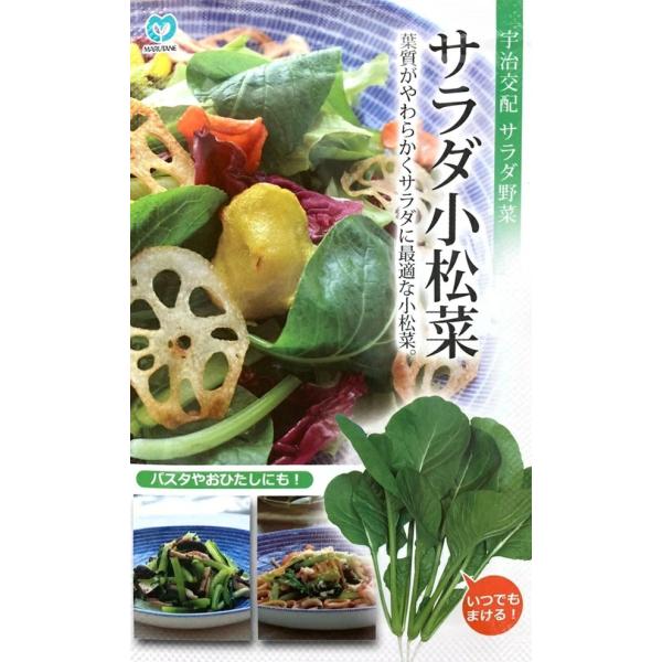 栄養価が高く、ビタミンＡやビタミンＣ、カルシウム等を多く含んでいます。葉質はやわらかく、サラダ等の生食にして美味しい小松菜です。また、従来通りおひたしや煮物・炒め物にも適しています。草姿は立性で揃いよく、葉はツヤのある濃緑丸葉となります。栽...