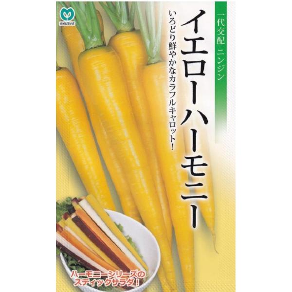 播種後120日前後で収穫する春・夏まき兼用の黄色人参です。根長は20〜25cm、直径は太いところで3〜4cmとなります。根色は鮮黄色で、内部まで美しい黄色となります。草勢は強く、揃いに優れています。いろどりを活かしてスティックサラダやジュー...