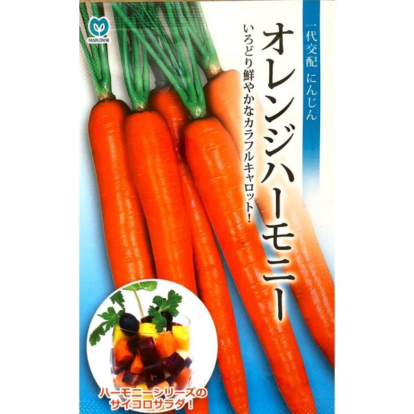播種後110〜120日前後で収穫する春・ 夏まき兼用のカラー人参です。根長は20〜25cm、直径は太いところで3 〜4cmとなります。いろどりを活かして、スティックサラダやジュースに利用します。外皮は美しいオレンジ色で、内部まで鮮やかなオレ...