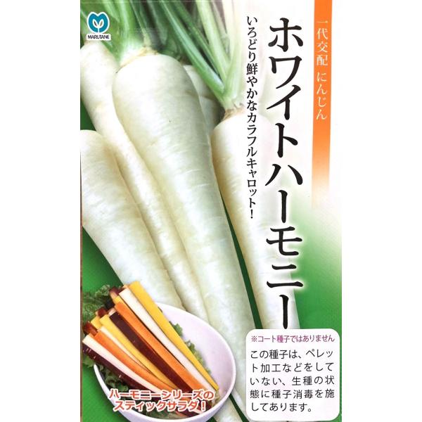 播種後120日前後で収穫する春・夏まき兼用の純白色の人参です。根長は20〜25cm、直径は太いところで3〜4cmとなります。根色は表面、内部ともに純白色となります。草勢は強く、揃いに優れた人参です。いろどりを活かしてスティックサラダやジュー...