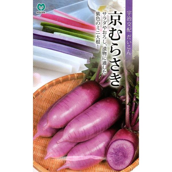 播種後約50日で根長15〜18cm、根茎6〜7cm程度になる紫皮のミニ大根。根は円筒形で尻づまりがよく、肩部は濃い紫色、根部はやや薄い紫色になる。内部は中心部から紫色に着色します。肉質が緻密で歯切れがよく、みずみずしいのでサラダ等の生食に加...