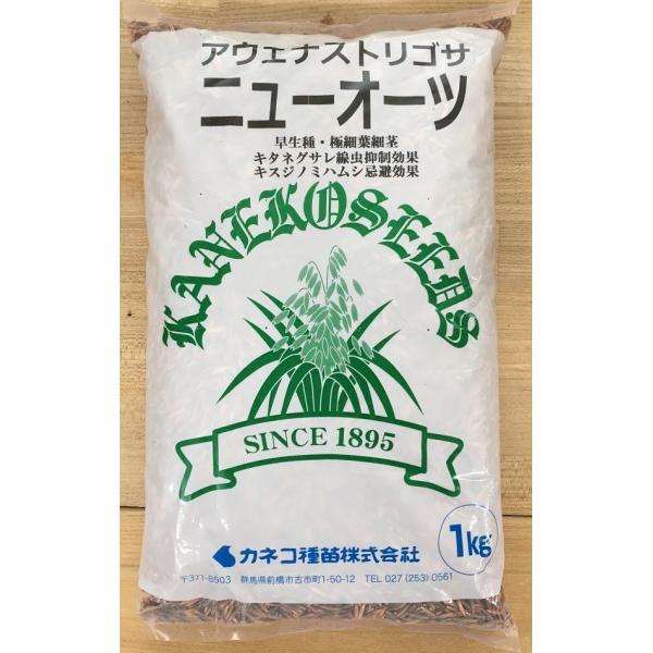 �y��q�z���� �A�E�F�i �X�g���S�T �j���[�I�[�c 1kg �J�l�R��c