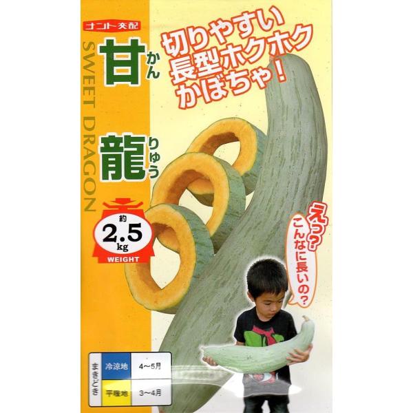 長さが45cm前後にもなる切りやすい形状の長型南瓜。甘くてホクホク！きめ細やかな肉質で極めて美味！