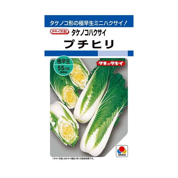 yqz ^PmRnNTC v`q ^LCc̃^l