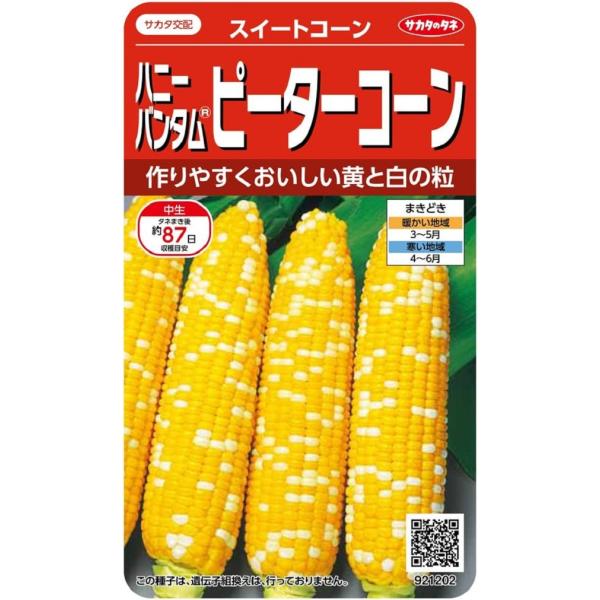 黄色と白色の粒が3：1に混じるバイカラー(2色)で、大きな穂をつけます。皮がやわらかく、甘みが強くてすぐれた品質です。タネまきから87日程度で収穫となる、つくりやすい人気種です。