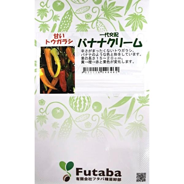 辛さがまったくないトウガラシ。バナナのような色と形をしています。果の長さ15〜20cm。黄→橙→赤と果色が変化します。