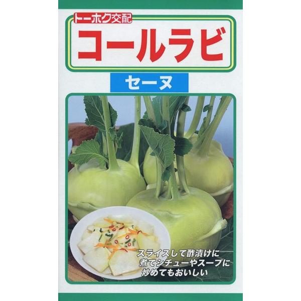 丸く太った茎を食べるキャベツの仲間の野菜で、最近人気が出てきました。暑さにも寒さにも比較的強く、育てやすいので家庭菜園に適します。プランターでの栽培も可能です。
